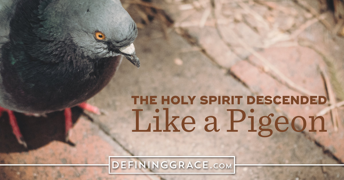 The Holy Spirit Descended Like a Pigeon Defining Grace