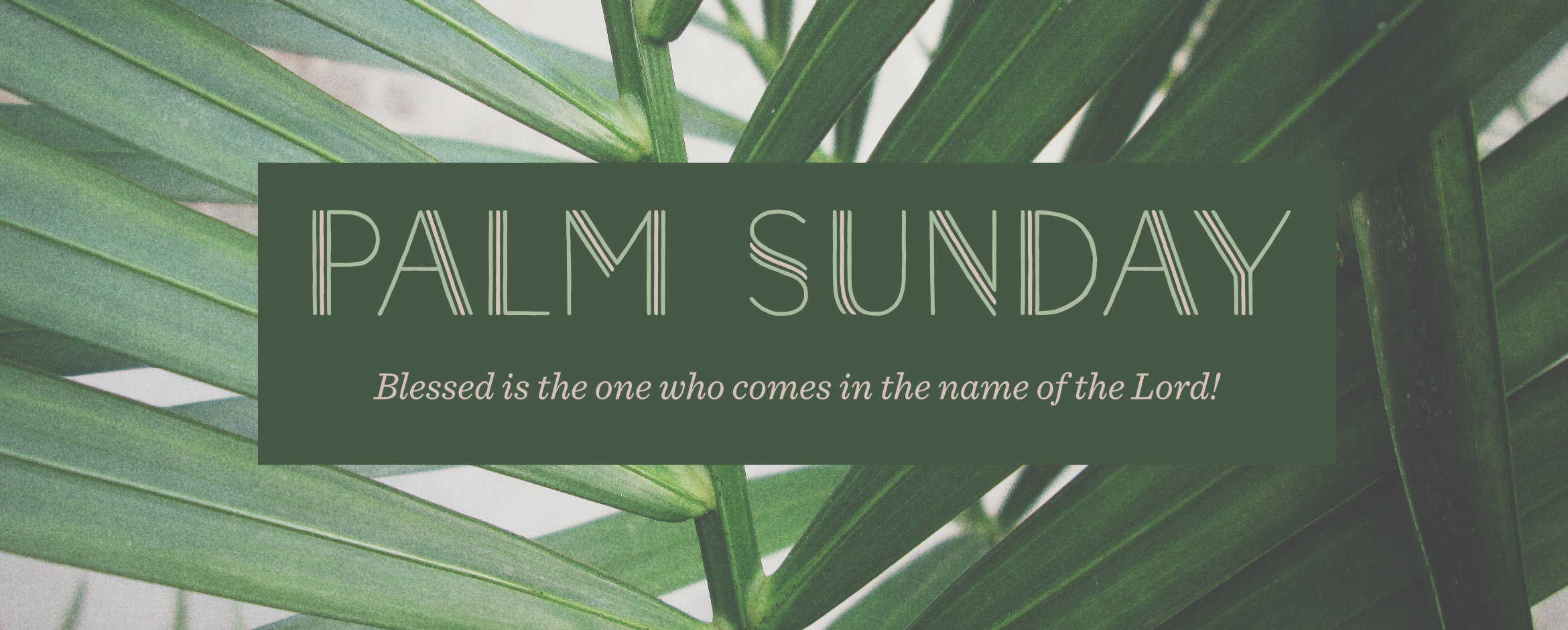 PalmSunday_Header - Defining Grace